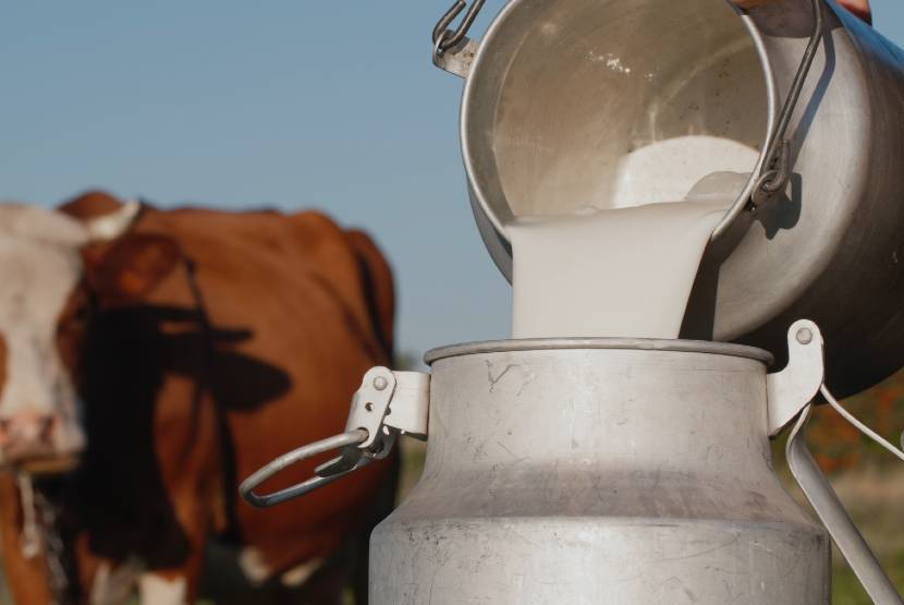 about_bharat_milk_image about_bharat_milk