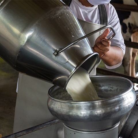 story_of_bharat_milk_image story_of_bharat_milk