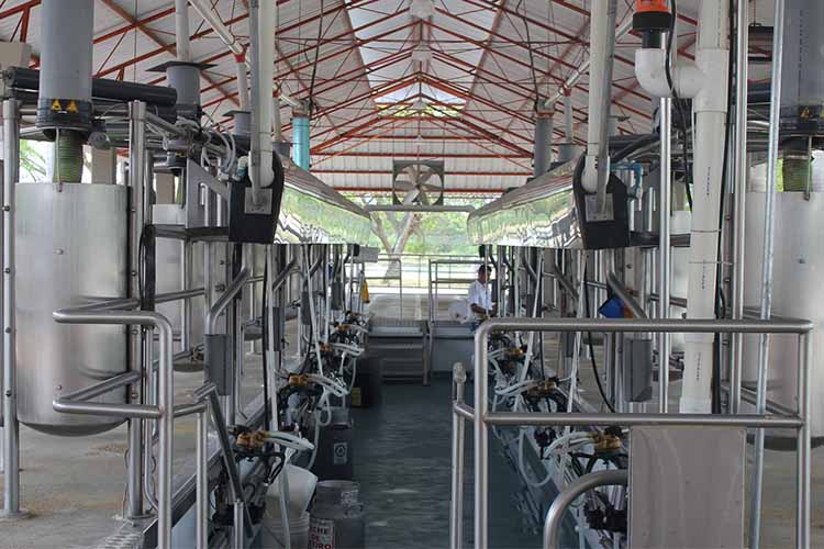fresh_and_hygenic_bharatmilk_factory fresh_and_hygenic_factory