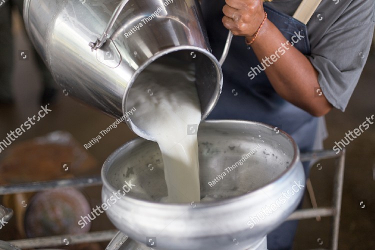 milk_procurement_bharatmilk_factory milk_procurement_bharatmilk
